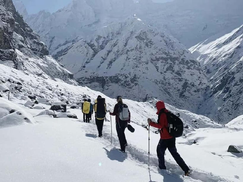 Pokhara: 7-Day Annapurna Base Camp Trek & Natural Hot Spring - Chomrong to Himalaya: bamboo, rhododendron, and the altitude shift