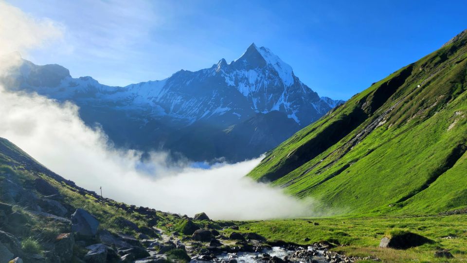 Pokhara: 9-Day Annapurna Base Camp Trek with Poon Hill - Stairs, Altitude, and Other Real Considerations