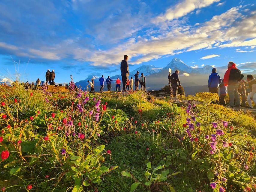 Pokhara: 9-Day Annapurna Base Camp Trek with Poon Hill - Guides, Private Group Pace, and Why It Changes Everything