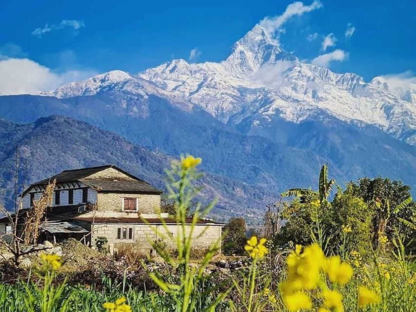 Pokhara: 9-Day Annapurna Base Camp Trek with Poon Hill - Who This Trek Suits Best