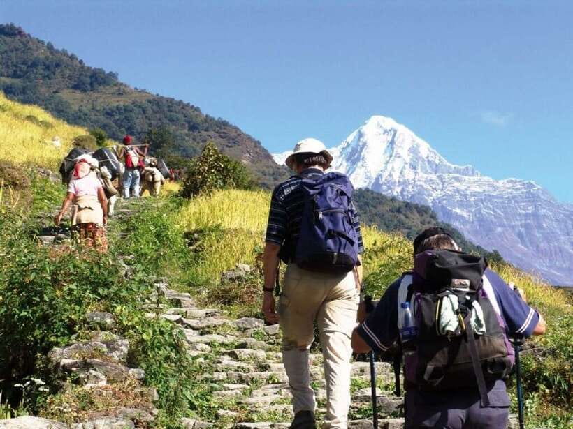 Pokhara: Annapurna Day Hike with Panoramic Views - The 8-Hour Route Works: Kande, Australian Camp, Dhampus, Phedi