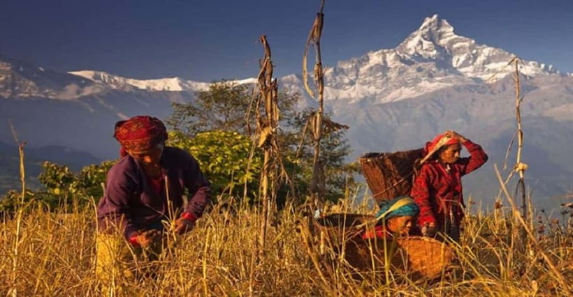 Pokhara: Annapurna Day Hike with Panoramic Views - Australian Camp Viewpoint Time: More Than a Photo Stop