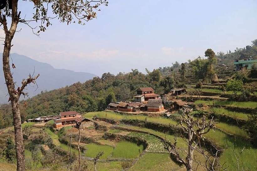 Pokhara: Annapurna Day Hike with Panoramic Views - Getting to the Trailhead: Pickup Options That Save Time
