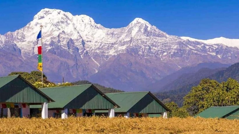 Pokhara: Annapurna Foothills Day Hike with Transfers - Dhampus to Phedi/Ghattekhola: the descent that feels calmer