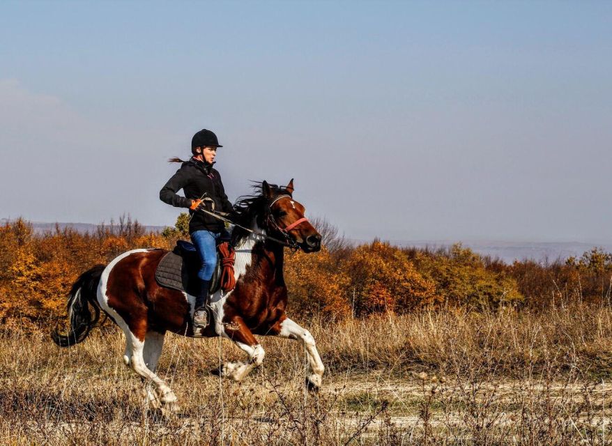 Pokhara: Horseback Adventure - Key highlights I’d prioritize