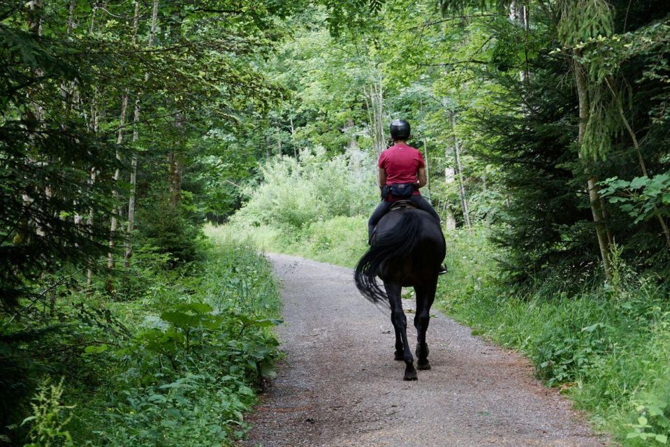 Pokhara: Horseback Adventure - The 2.5-hour experience: what happens from pickup to return