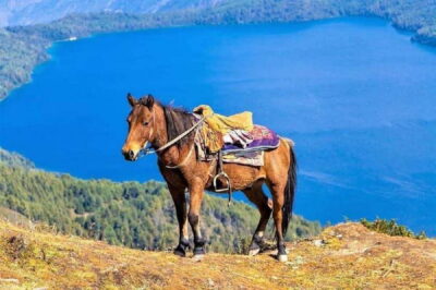 Pokhara: Horseback Riding Adventure with Hotel Pickup - Pickup, timing, and how the ride starts