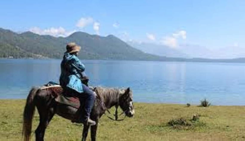 Pokhara: Horseback Riding Adventure with Hotel Pickup - Horses and safety: what to expect from the operation