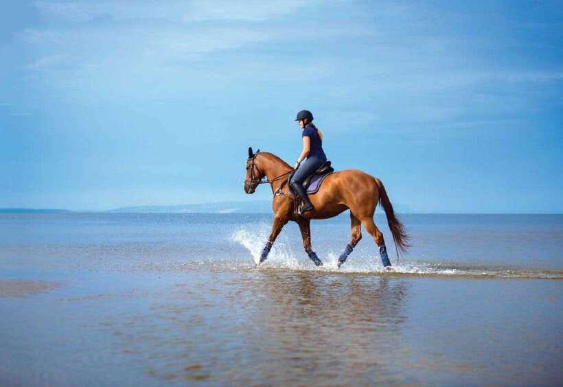 Pokhara: Horseback Riding Adventure with Hotel Pickup - Where the tour adds real value (beyond “just riding”)