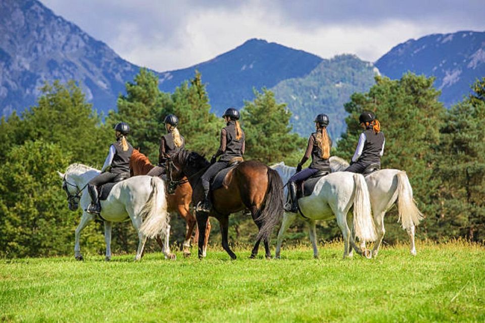 Pokhara: Horseback Riding Adventure with Hotel Pickup - Price and value: $32 for a guided, supported ride