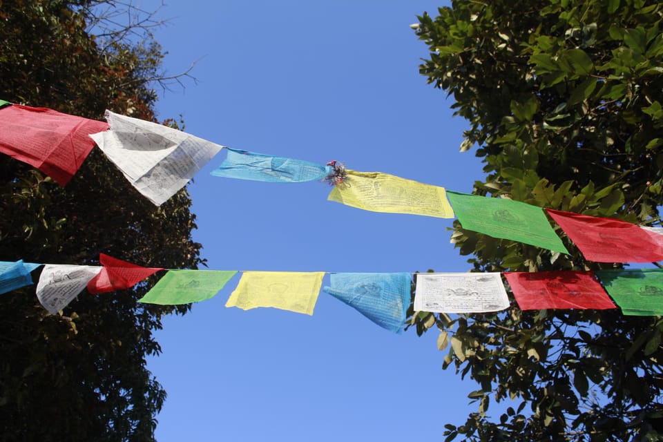 Pokhara: One night camping, campfire stay at Australian camp - Campfire night under the stars: why this matters more than you think