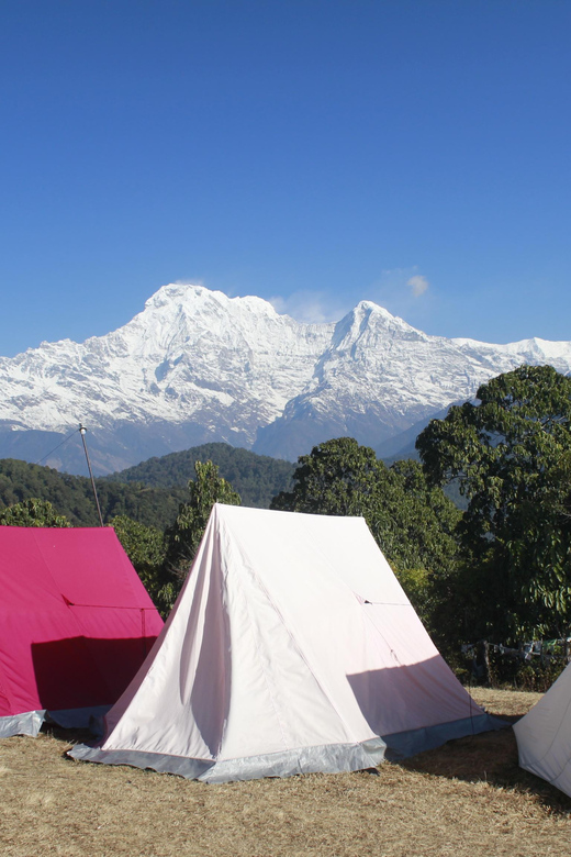Pokhara: One night camping, campfire stay at Australian camp - Sunrise over Annapurna and Dhaulagiri: the moment you came for