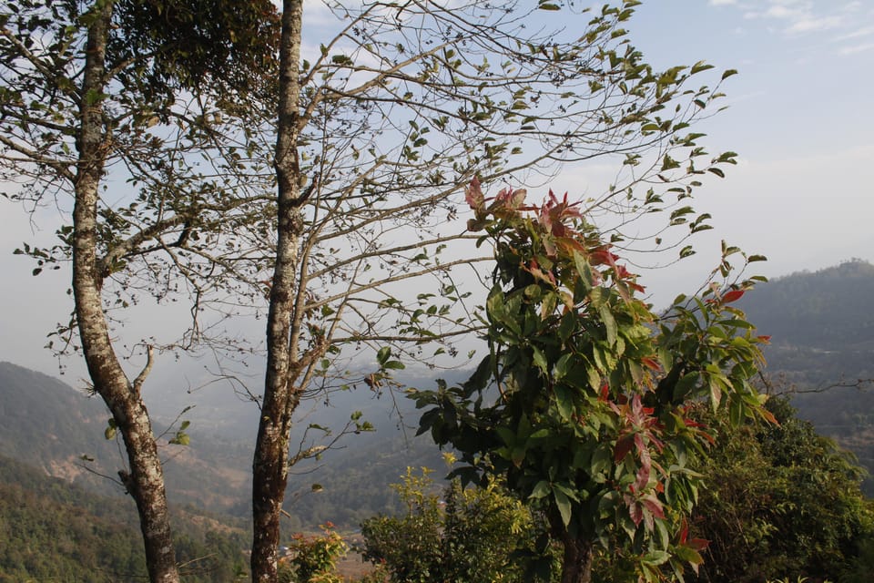 Pokhara: One night camping, campfire stay at Australian camp - Trek back toward Kande, then back to Pokhara