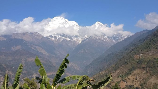 Pokhara: Poon Hill Ghorepani Short Trek - Price and logistics: what you pay $290 for, and what you still cover