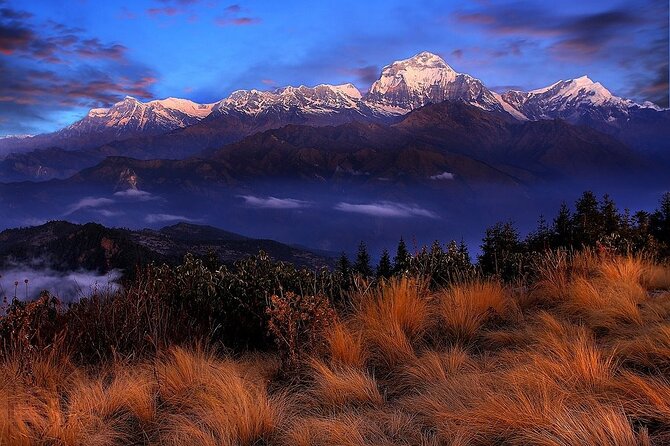 Pokhara: Poon Hill Ghorepani Short Trek - Day 2 to Ghorepani: forests, green hills, and settling into trekking rhythm