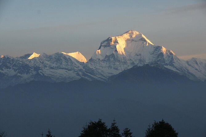 Pokhara: Poon Hill Ghorepani Short Trek - What the guide actually changes on this trek