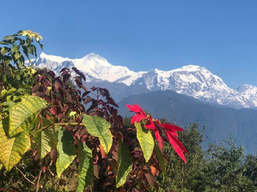 Pokhara: Sunrise Tour to Sarangkot - Tea or Coffee in Sarangkot: A Small Break That Helps