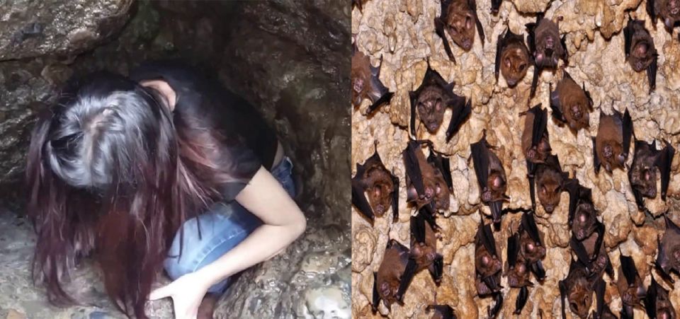 Pokhara:Mahendra, Gupteshwor Mahadev & Bat Cave Private Tour - Should you book this Pokhara three-cave tour?