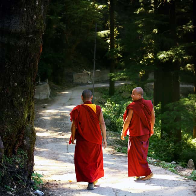 Private 2-Days McLeodGanj & Dharamshala Guided Tour - Why this two-day route feels worth your time