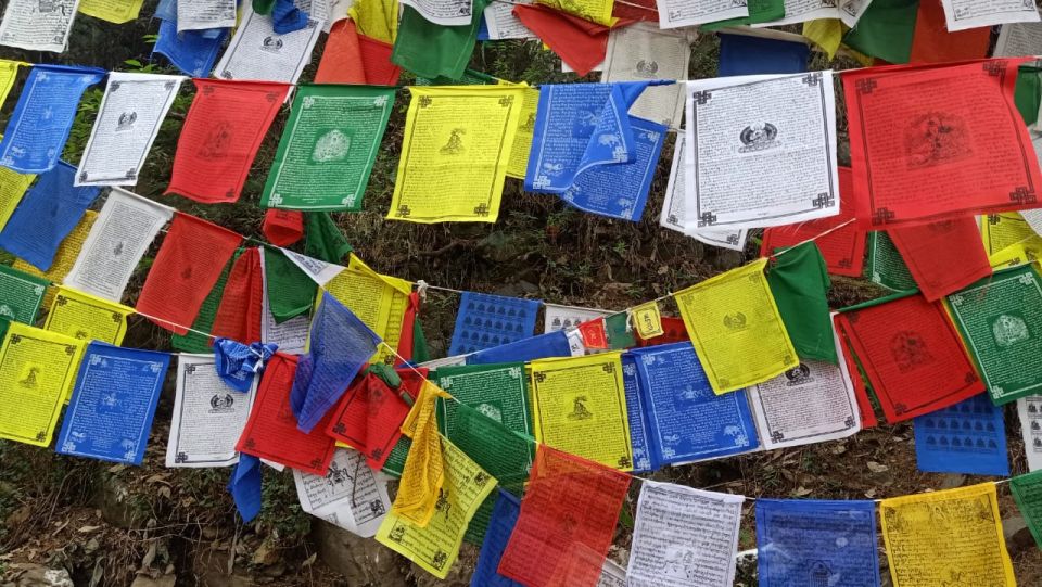 Private 6 hrs Mcleodganj & Dharamshala City Tour - Tea gardens in Kangra Valley: the smaller scale you can actually feel