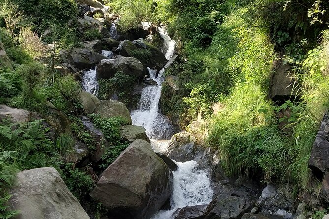 Private 6 hrs Mcleodganj & Dharamshala City Tour - Private car and an English guide on tight mountain roads