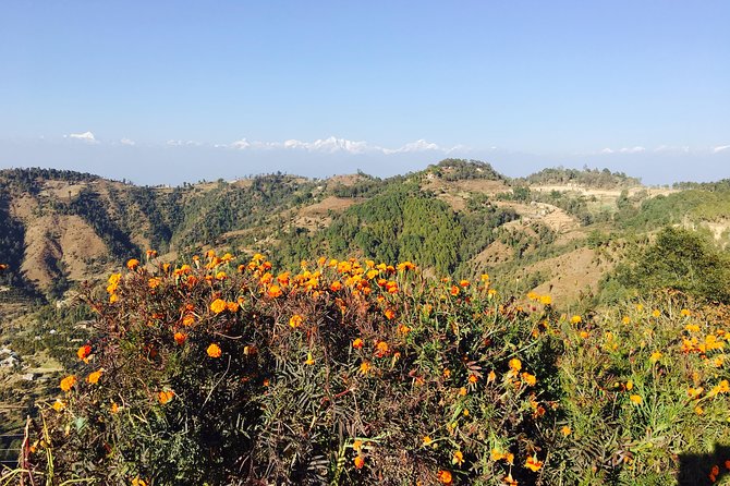 Private Day Tour - Sacred Journey to Namo Buddha - Stop Focus: Namo Buddha Stupa and the Compassion Legend