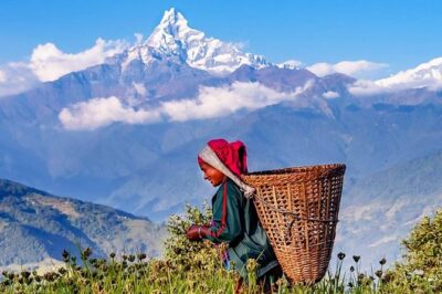 Private Full-Day Hike in the Annapurna Foothills in Pokhara - Your Private Guide and Transfers from Lakeside Pokhara