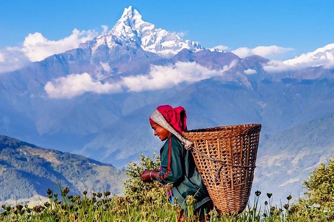 Private Full-Day Hike in the Annapurna Foothills in Pokhara - Your Private Guide and Transfers from Lakeside Pokhara