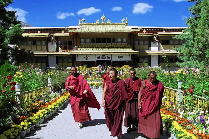 Private Guided Dharamshala Tour with Scenic Views & Lunch - Namgyal Monastery: reverence, learning, and a calmer pace