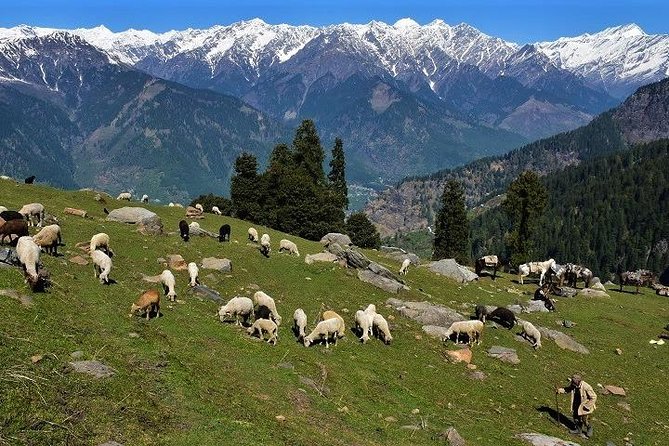 Private One Day Hiking Trip in Manali, Scenic Mountain Trail in Manali - How Difficult Is It Really? Matching the Trail to Your Body