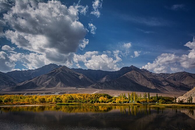 Private Tour of Ladakh for 6 Days - First-day Leh acclimatization: the quiet start that saves your trip