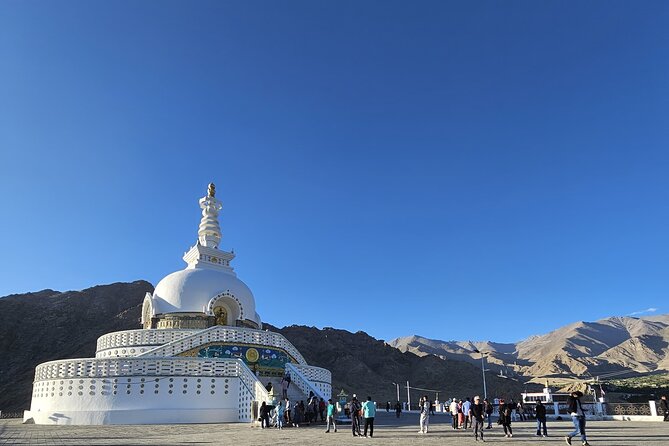 Private Tour of Ladakh for 6 Days - Comfort on the road: private pacing, meals, and driver support