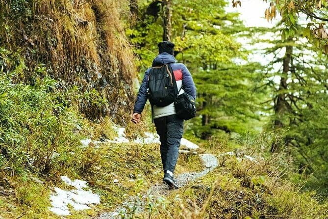 School Boy Walk - Price and logistics for a $10.78 guided trek