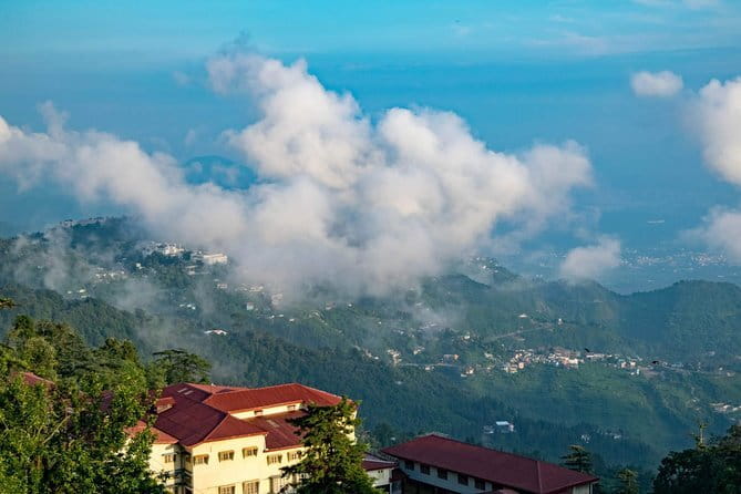 School Boy Walk - Stop for Doon Valley views: where the forest opens up