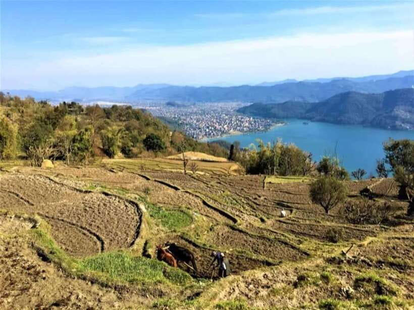 Seti George and Thrilling Suspension Bridge Tour at Pokhara - Should You Book This Seti Gorge + Suspension Bridge Tour?