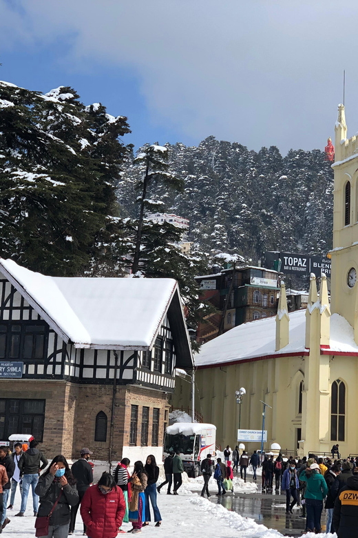 Shimla: Experience the Best of Shimla with a Local Guide - Food and drinks: what’s on you, and how to plan smart