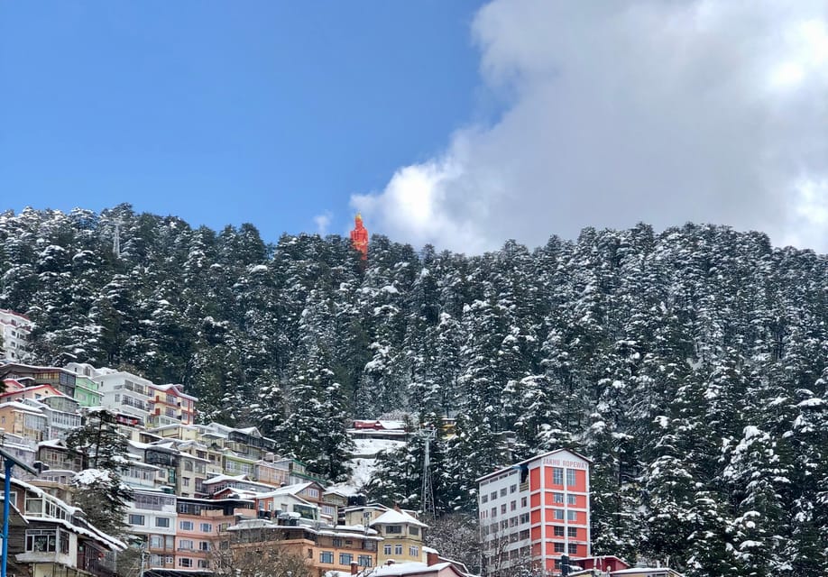 Shimla: Hiking Tour to Jakhu Hill with Local Guide - Monkeys on Jakhu Hill: Treat Them as a Safety Problem