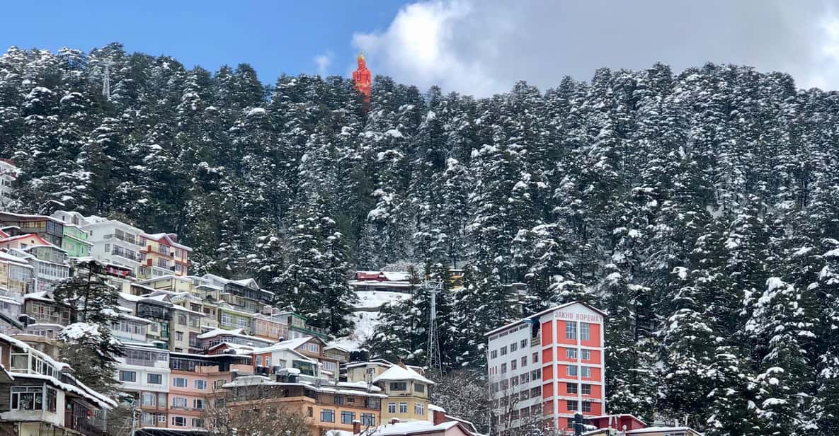 Shimla: Hiking Tour to Jakhu Hill with Local Guide - Price and Value: Why This Private Tour Can Be a Smart Deal