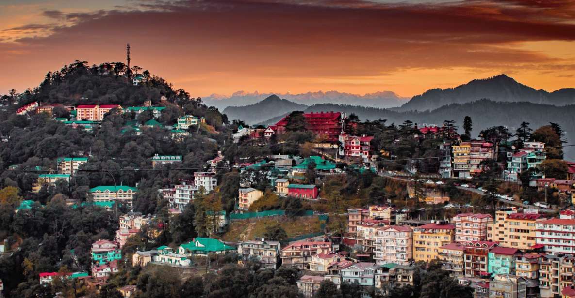 Shimla Nature Walk (3 Hours Guided Trekking Experience) - Key things that make this walk worth your time