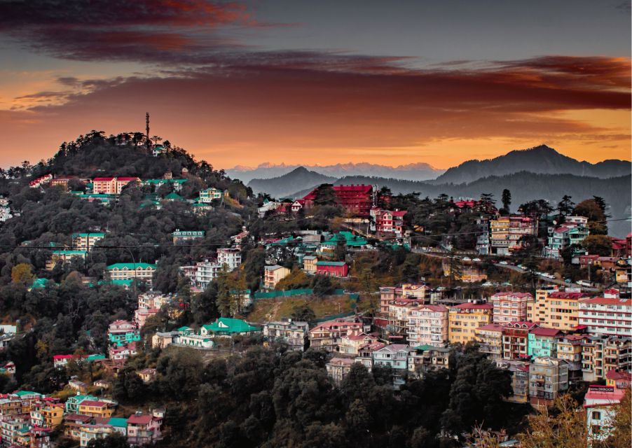Shimla Nature Walk (3 Hours Guided Trekking Experience) - The “nature walk” part is real, not just a stroll