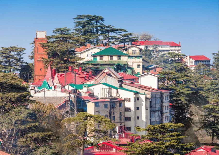 Shimla Nature Walk (3 Hours Guided Trekking Experience) - Forest Hill Road, U.S. Club heritage buildings, and the tea-and-maggi moment