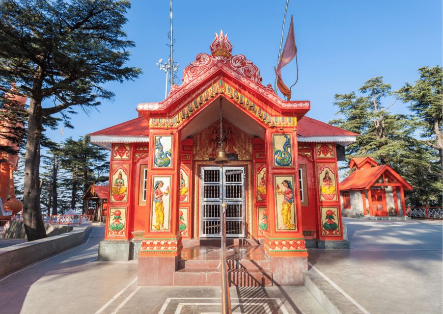 Shimla Nature Walk (3 Hours Guided Trekking Experience) - Who this guided nature walk is for