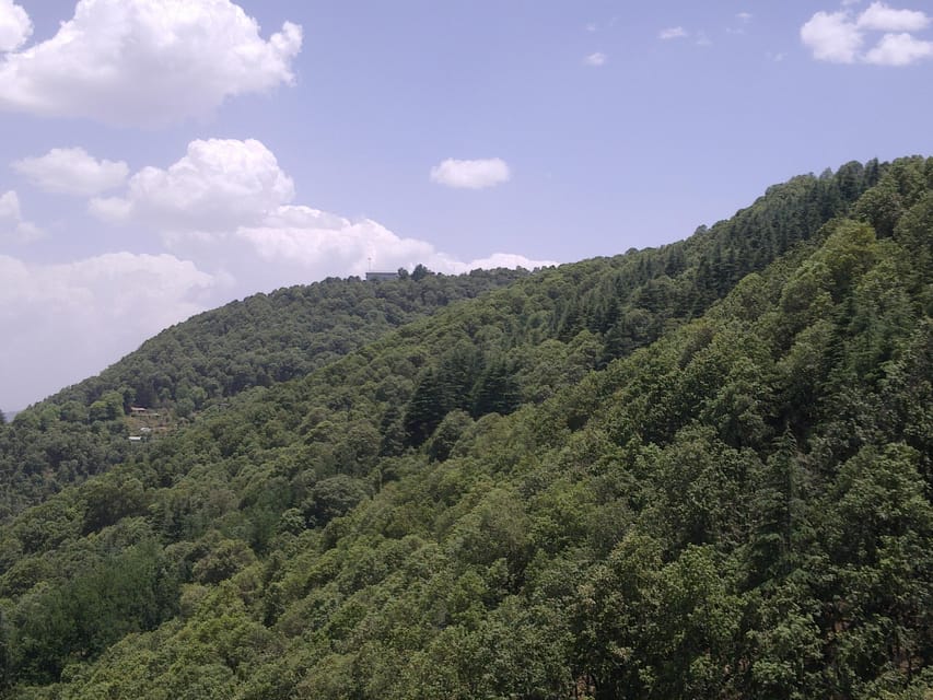 Shimla: Temples Tour with full day Local Driver Guide - Sankat Mochan and Vaishno Devi: compact stops with big explanations