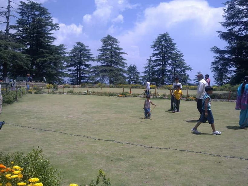 Shimla: Temples Tour with full day Local Driver Guide - Jakhoo Temple: the hilltop that changes the whole mood