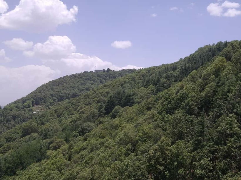 Shimla: Temples Tour with full day Local Driver Guide - Private guide in English and Hindi: how the stories shape the visit