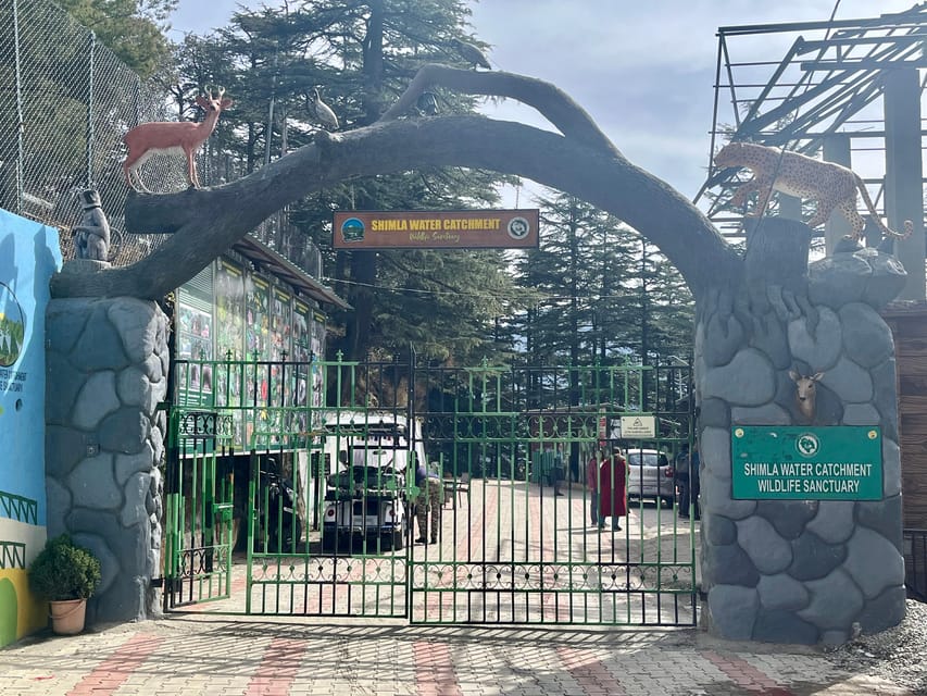 Shimla: Wildlife Sanctuary & Water Catchment Guided Tour - Who This Tour Fits (and Who Should Skip It)