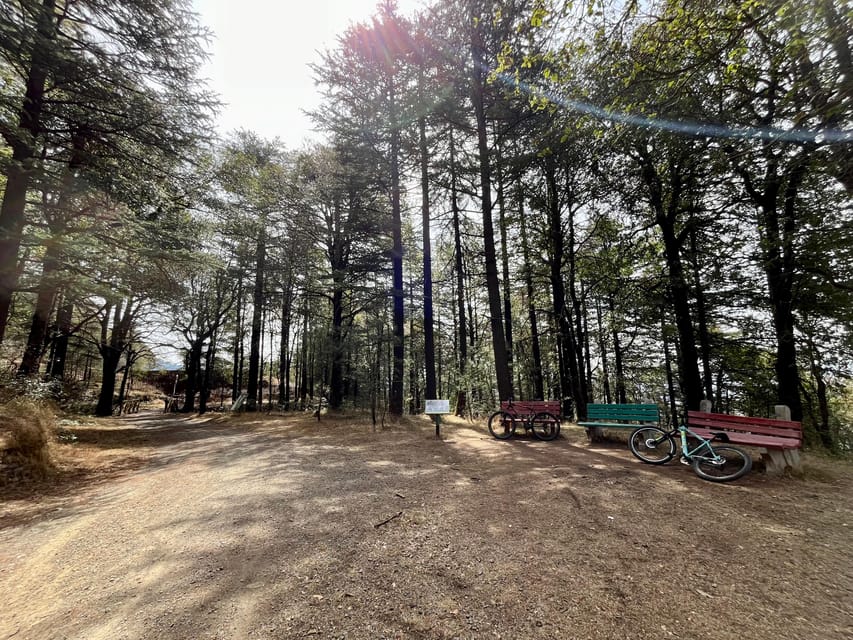 Shimla: Wildlife Sanctuary & Water Catchment Guided Tour - Entering the Sanctuary: Trails, Streams, and the Big Picture
