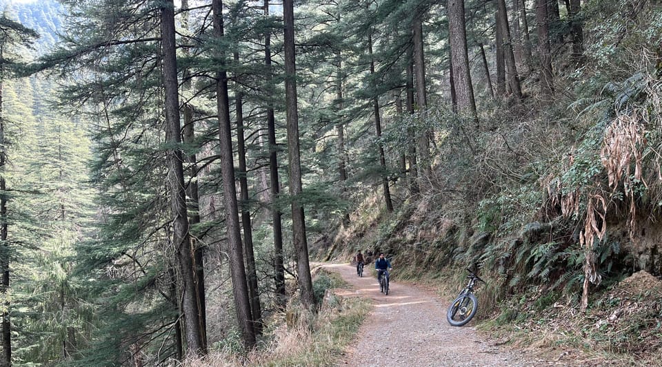 Shimla: Wildlife Sanctuary & Water Catchment Guided Tour - Pace and Practical Timing: 4–5 Hours That Don’t Drag