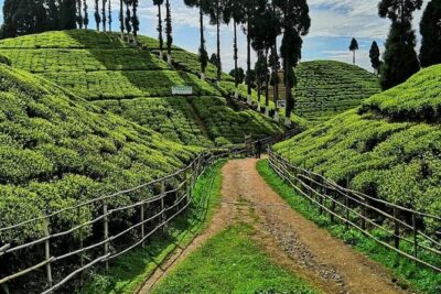 The Land Mark Tour (Nautical Day Darjeeling To Mirik crusade) - Your Road Trip Loop: A Scenery-First Itinerary