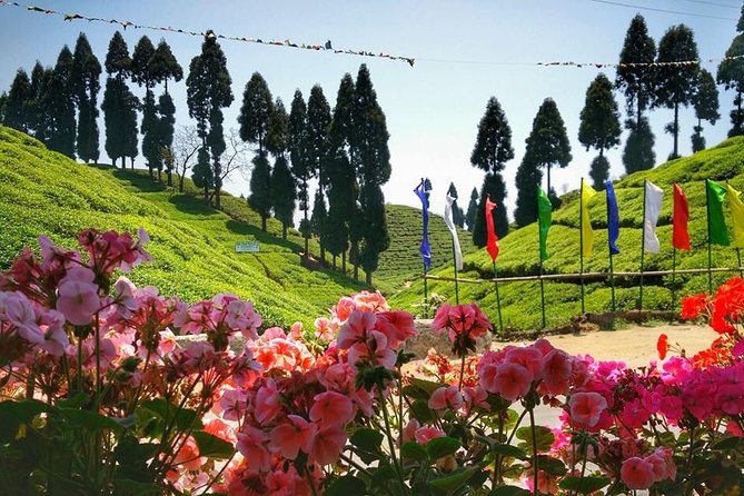 The Land Mark Tour (Nautical Day Darjeeling To Mirik crusade) - Pashupatinagar Market: Quick Browse, Optional Taxi